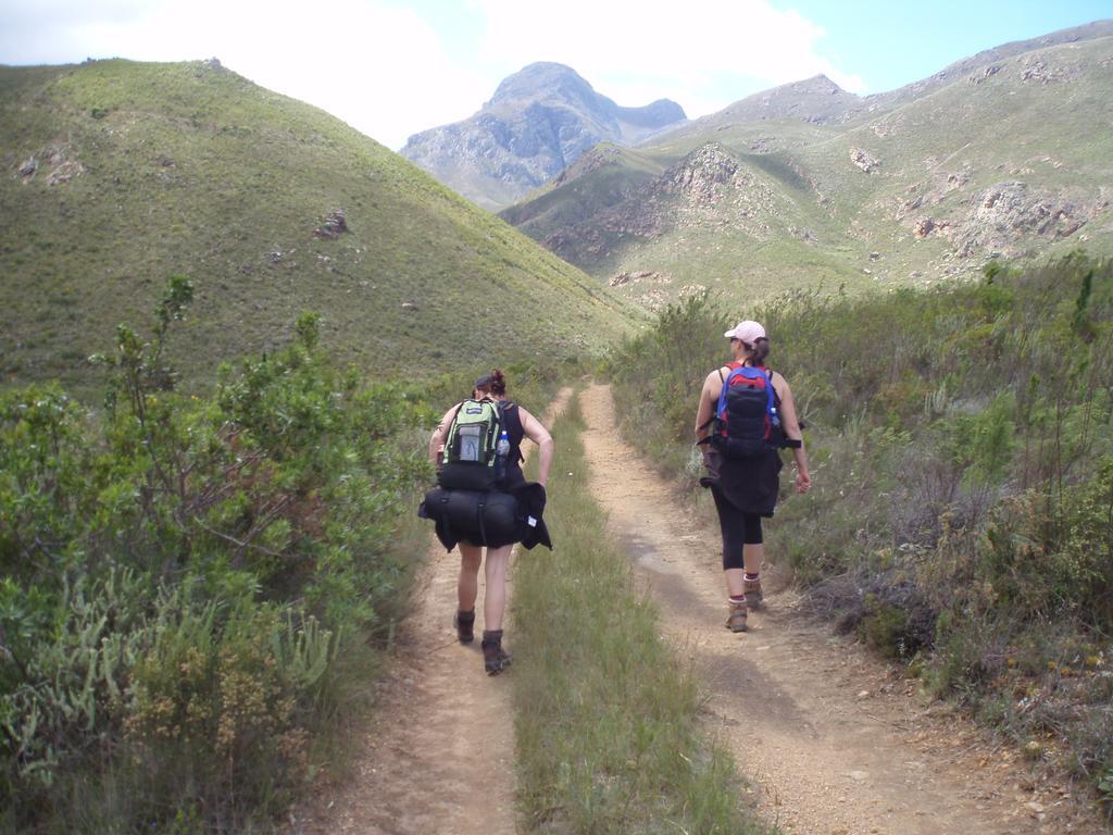 Hermanus Backpackers & Budget Accommodation エクステリア 写真